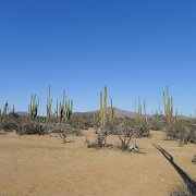 Baja2011 253 : Baja2011